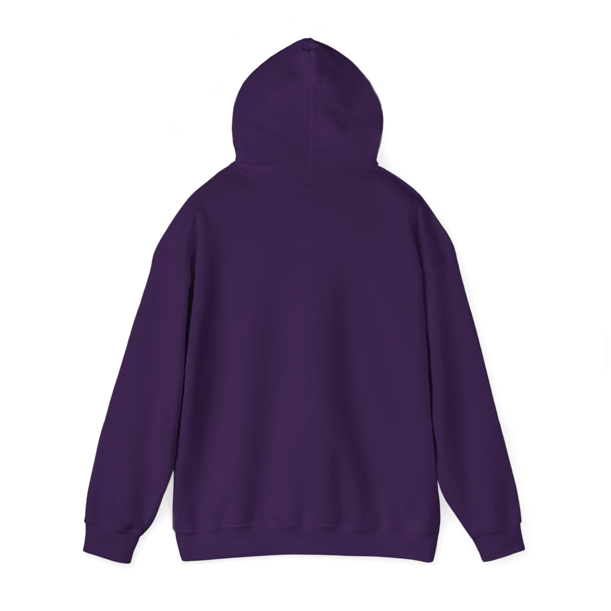 The Federal Hill Hooded Sweatshirt