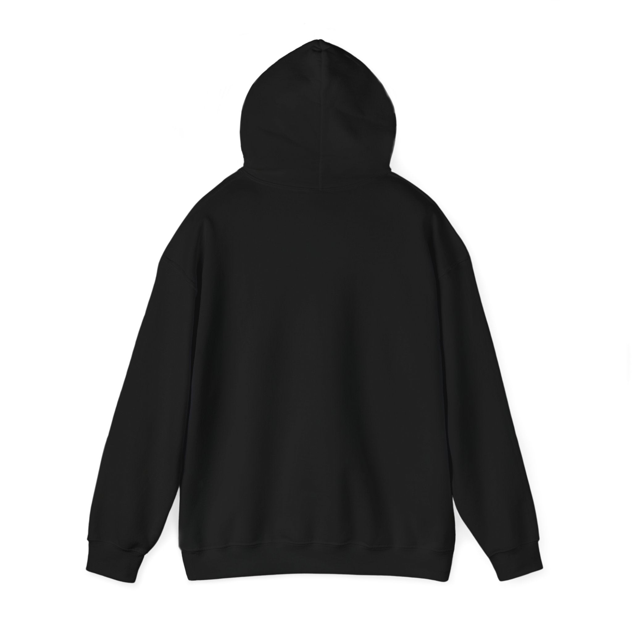 The Fells Point Hooded Sweatshirt