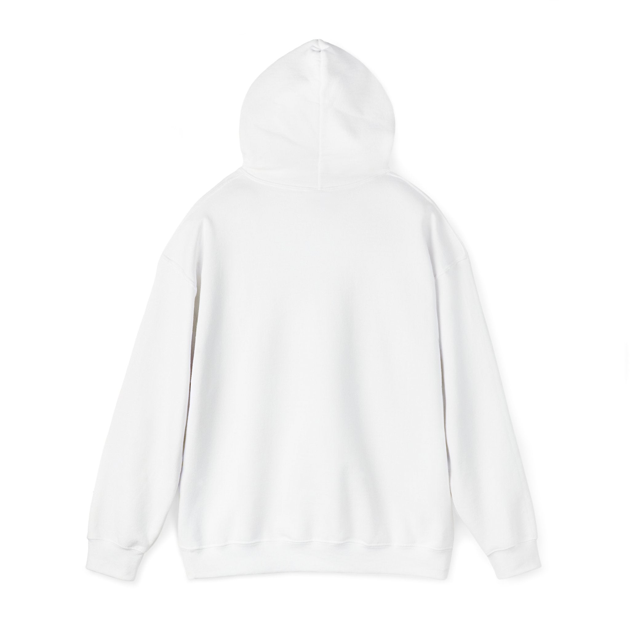 The Bolton Hill Hooded Sweatshirt