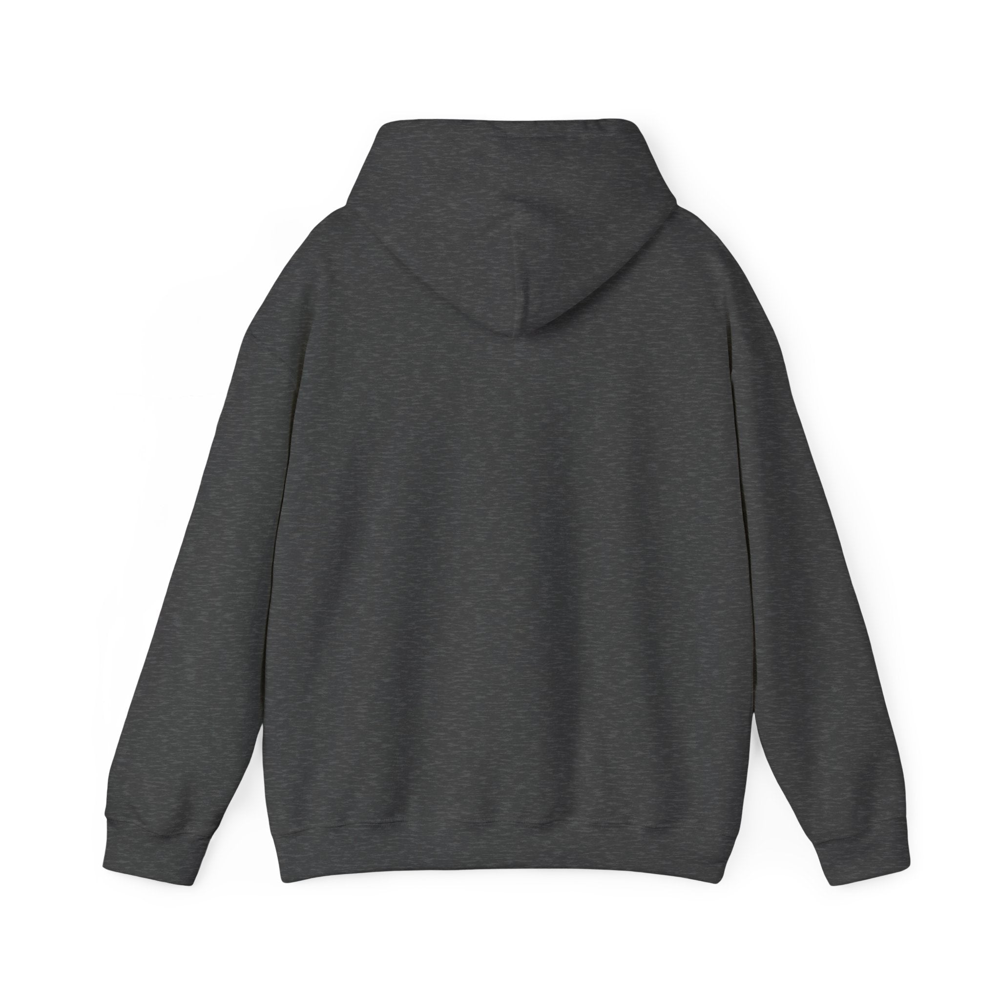 The Gwynn Oak Hooded Sweatshirt