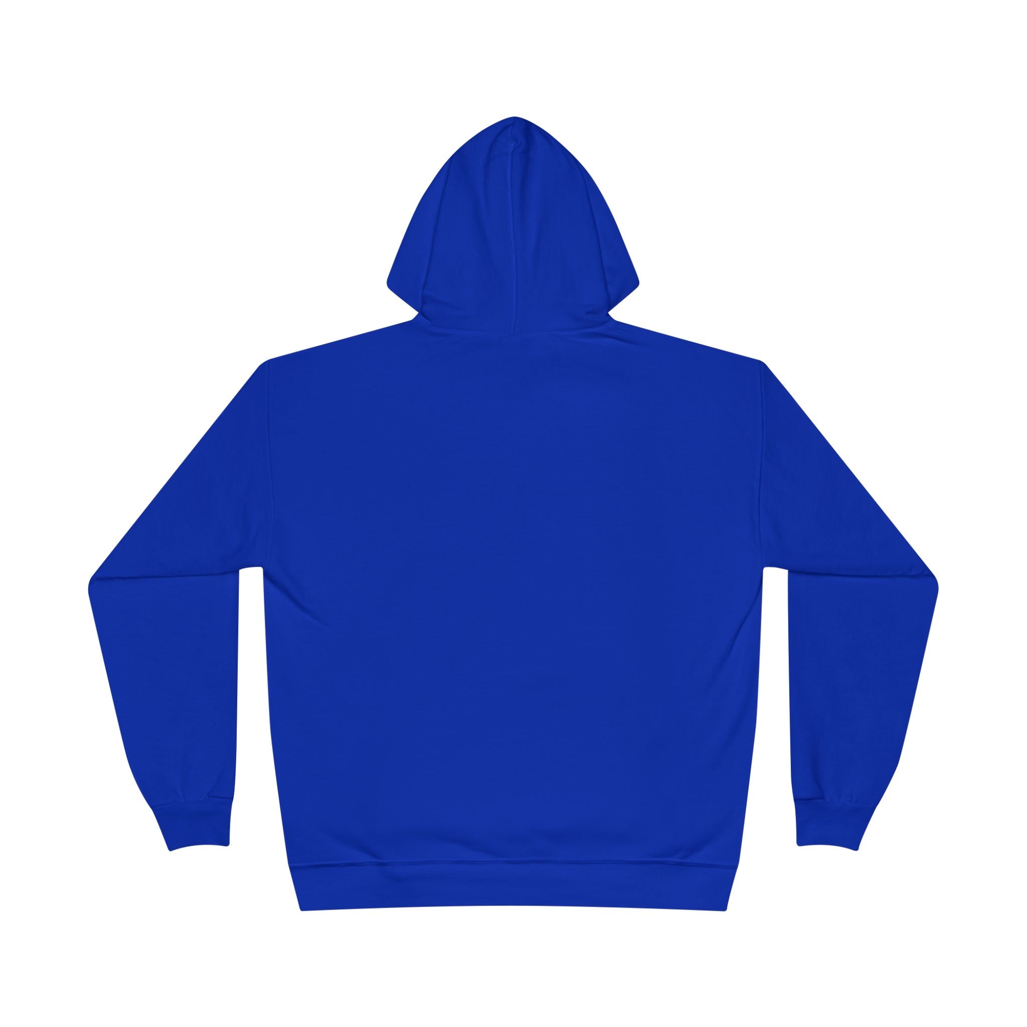 The Inner Harbor Hooded Sweatshirt