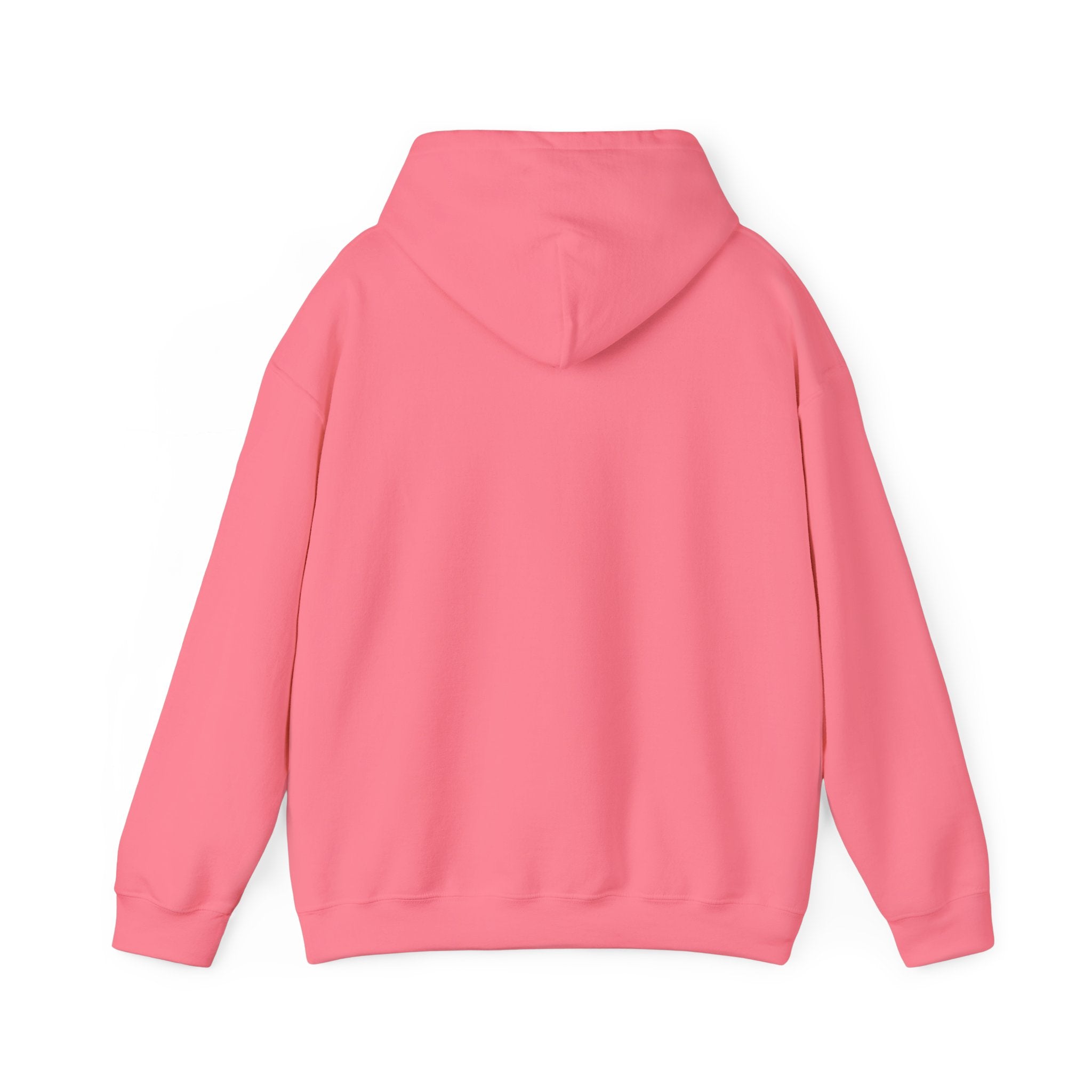 The Gwynn Oak Hooded Sweatshirt