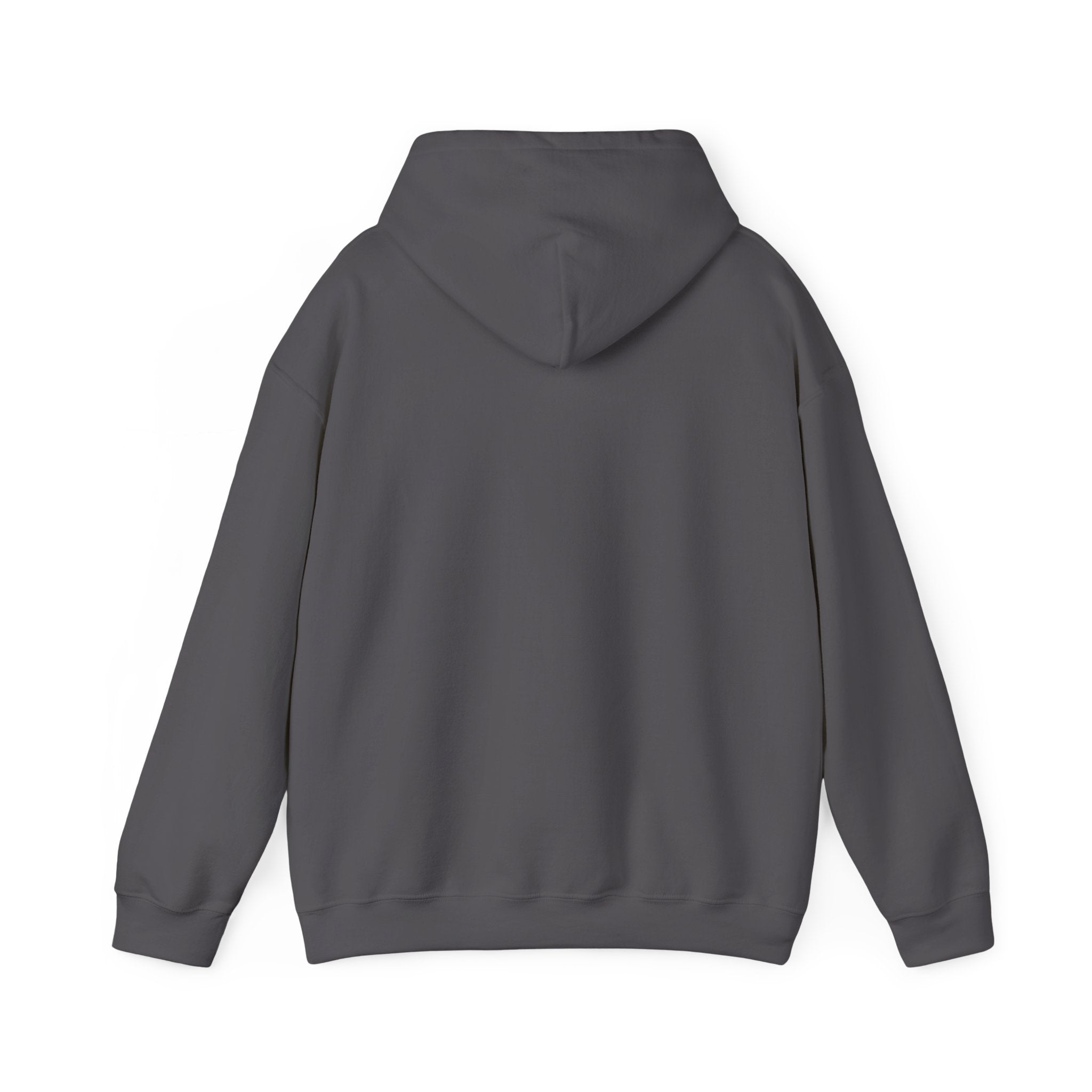 The Federal Hill Hooded Sweatshirt