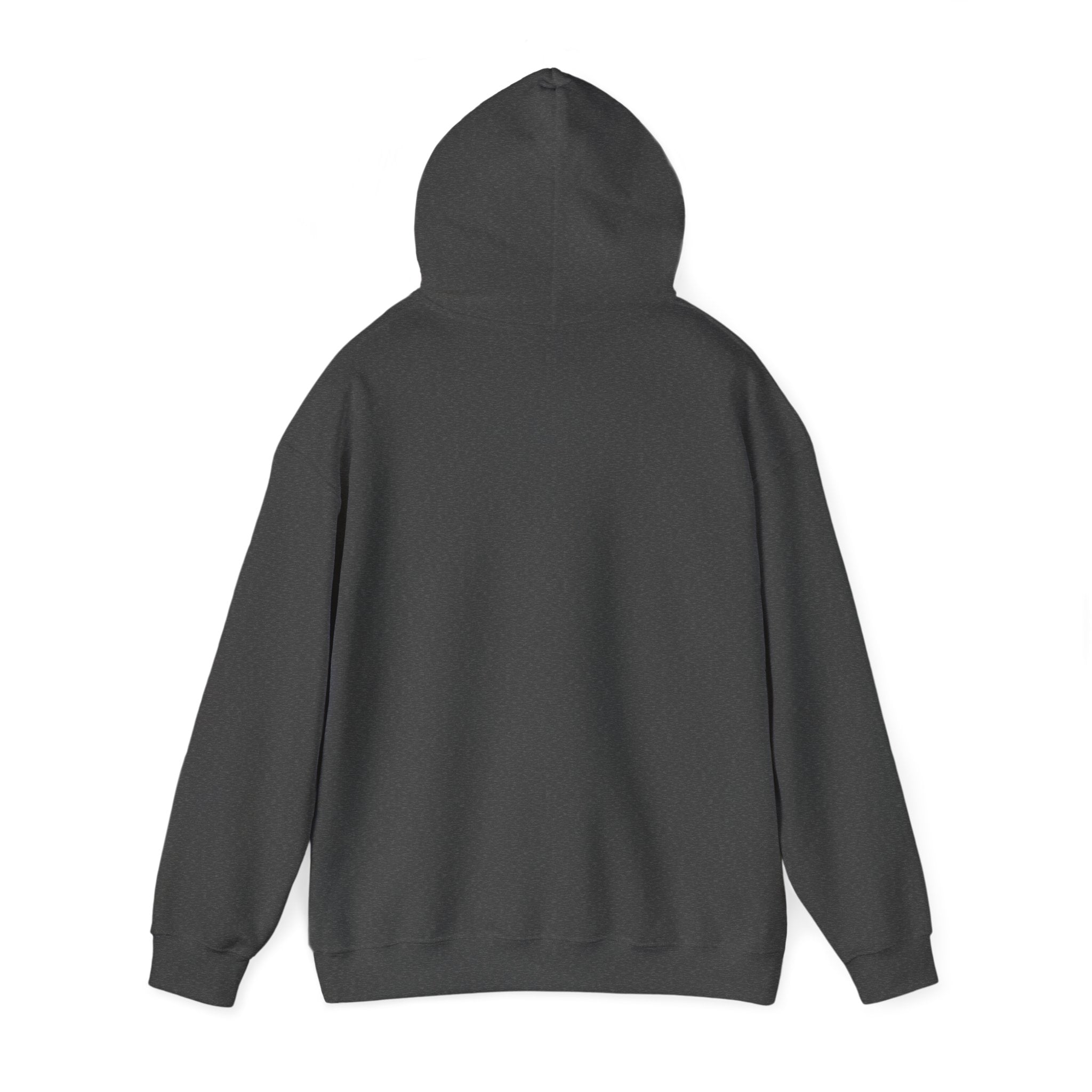 The Fells Point Hooded Sweatshirt