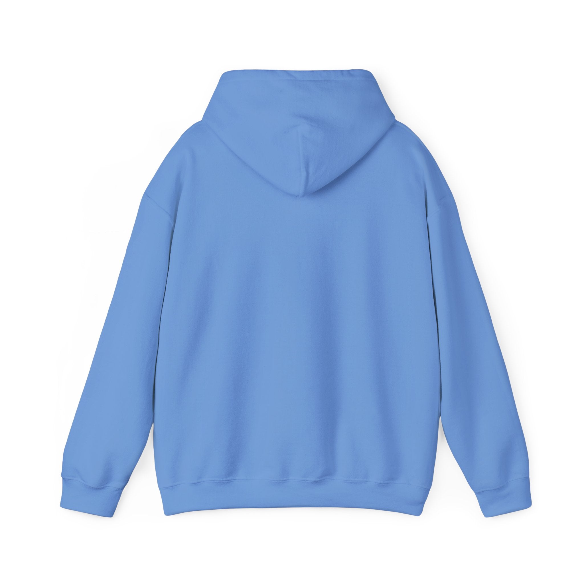 The Federal Hill Hooded Sweatshirt