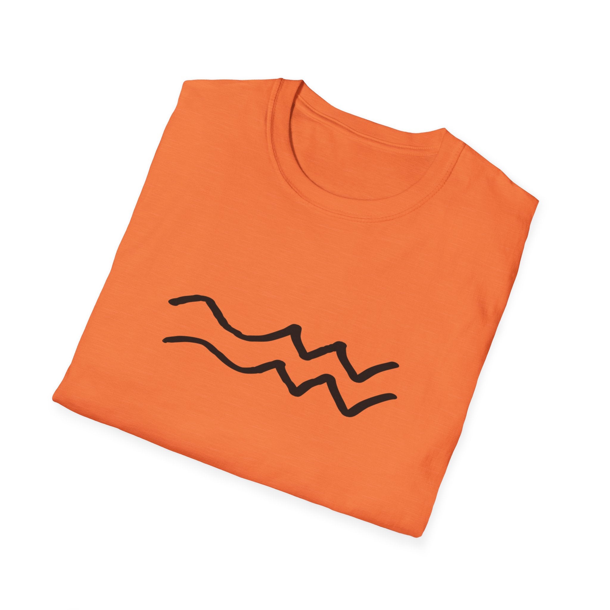 Aquarius, the Water-bearer T-Shirt