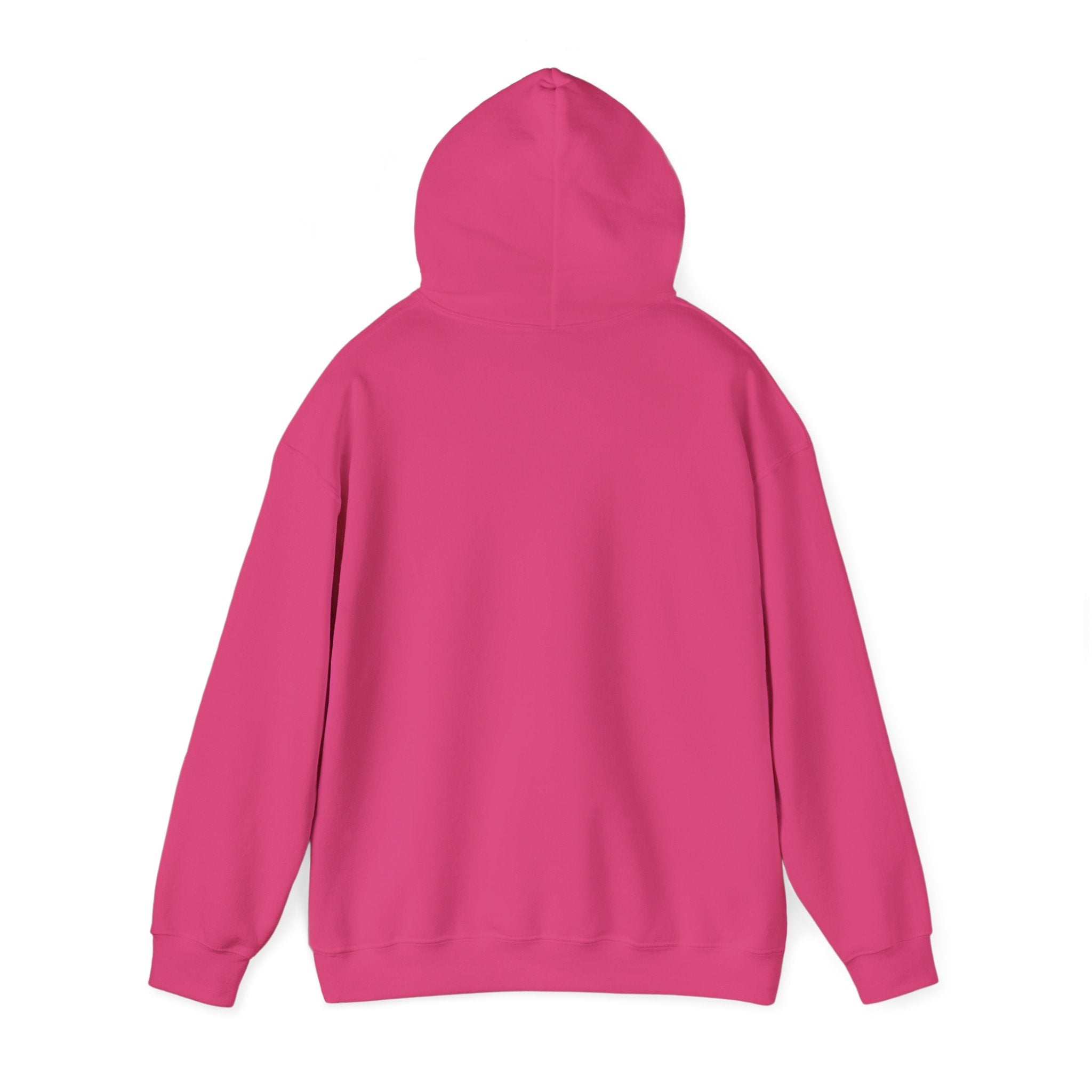 The Bolton Hill Hooded Sweatshirt